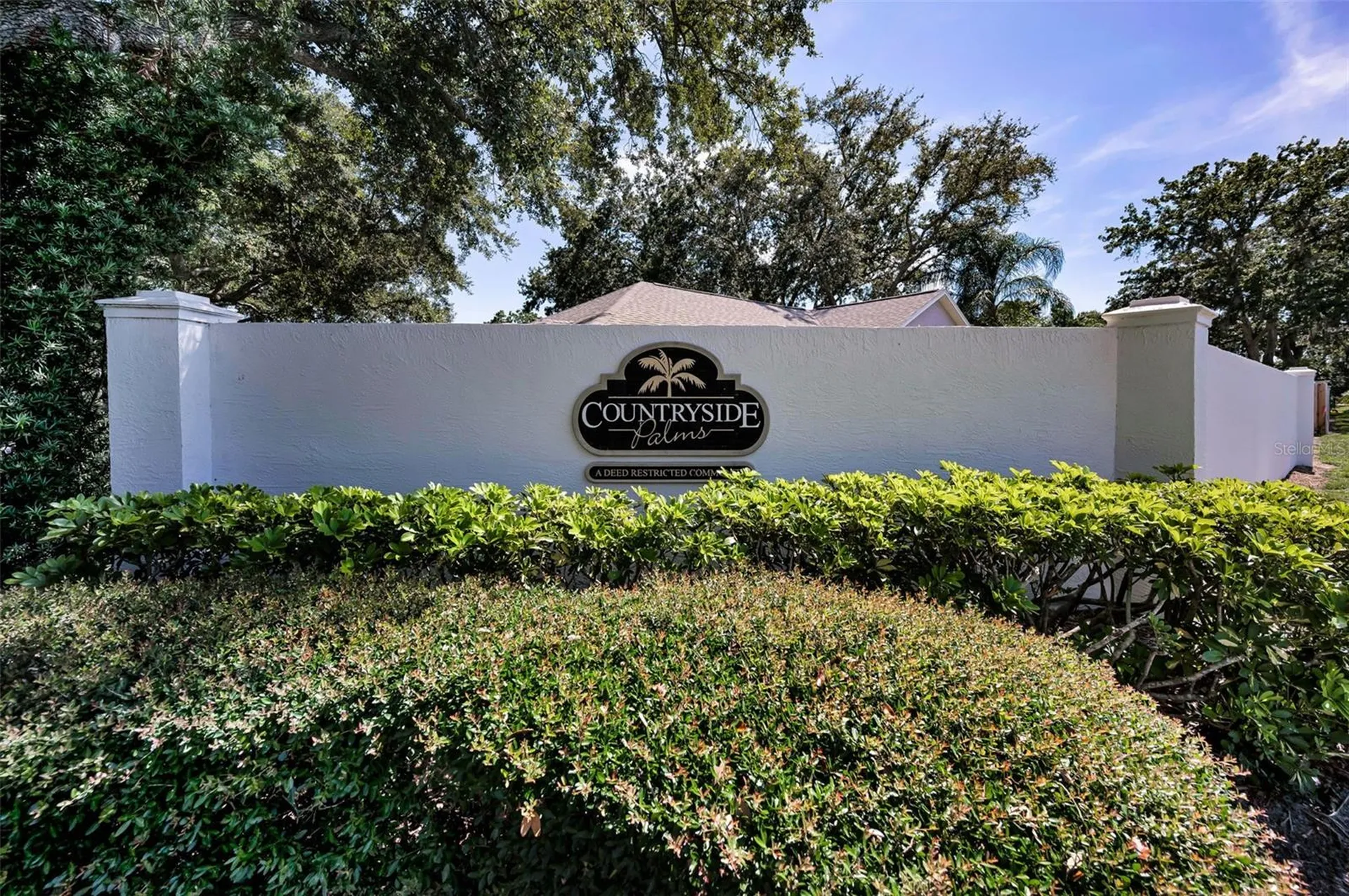 3678 Amelia Way Palm Harbor FL 34684