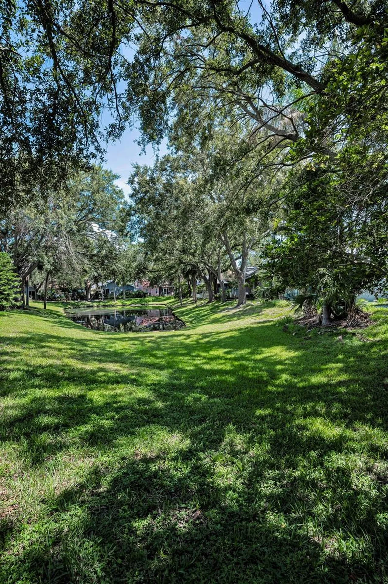 3678 Amelia Way Palm Harbor FL 34684