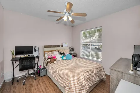3678 Amelia Way Palm Harbor FL 34684