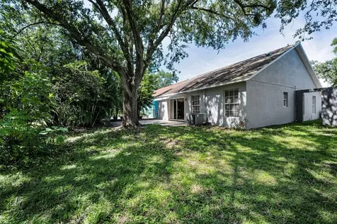 3678 Amelia Way Palm Harbor FL 34684