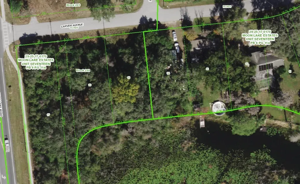 Carver New Port Richey FL 34654