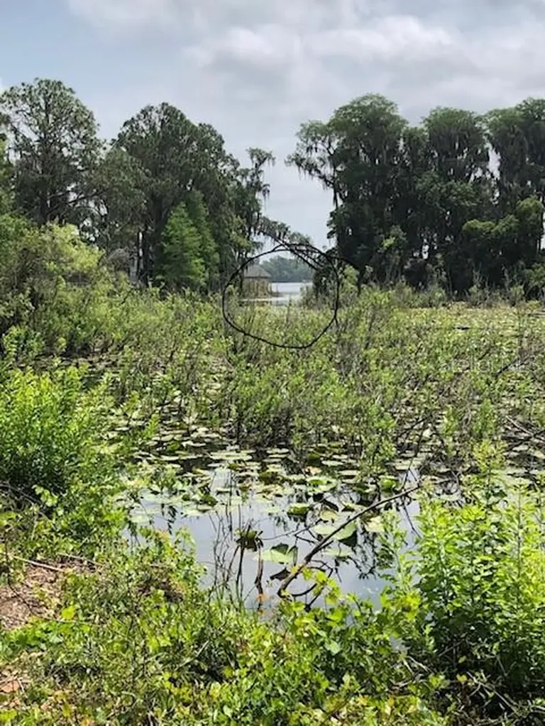 Carver New Port Richey FL 34654