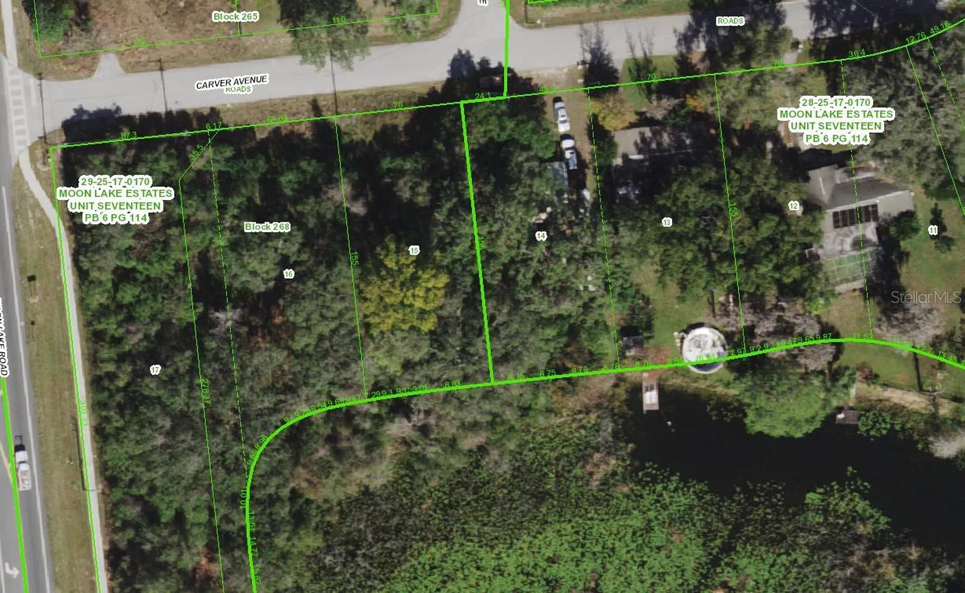 Carver New Port Richey FL 34654