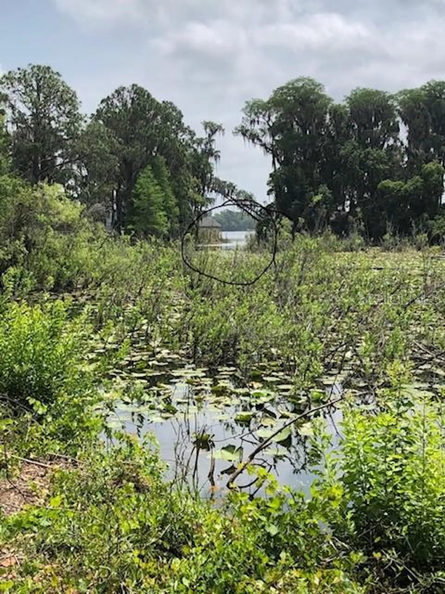 Carver New Port Richey FL 34654