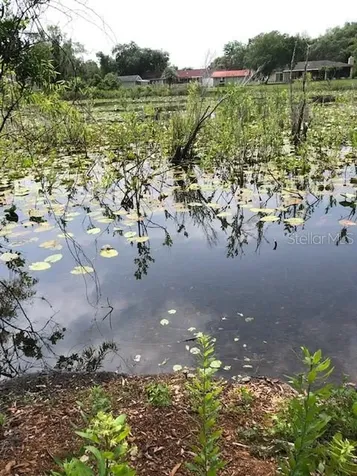 Carver New Port Richey FL 34654