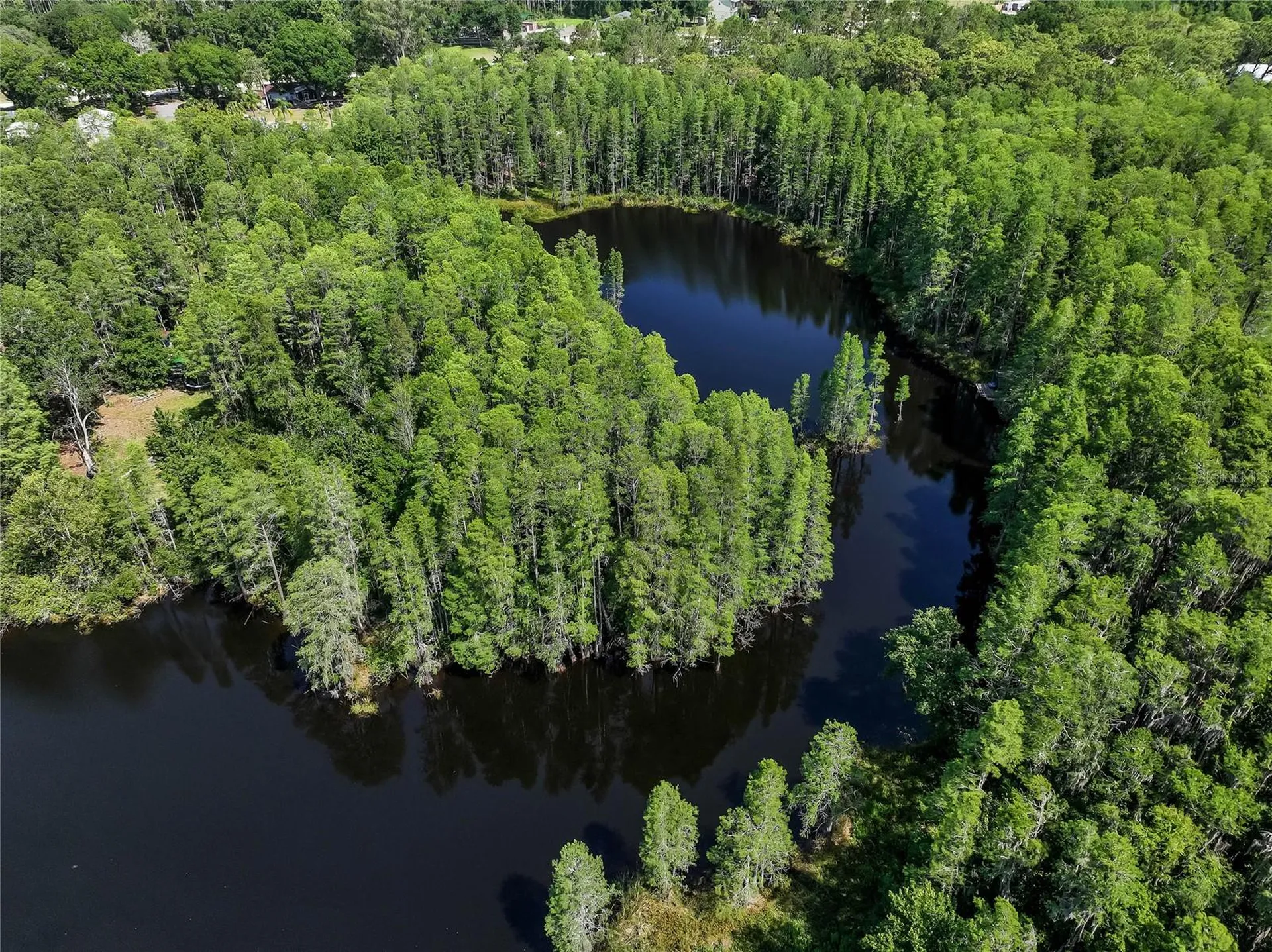 19832 Westwood Lane Land O Lakes FL 34638