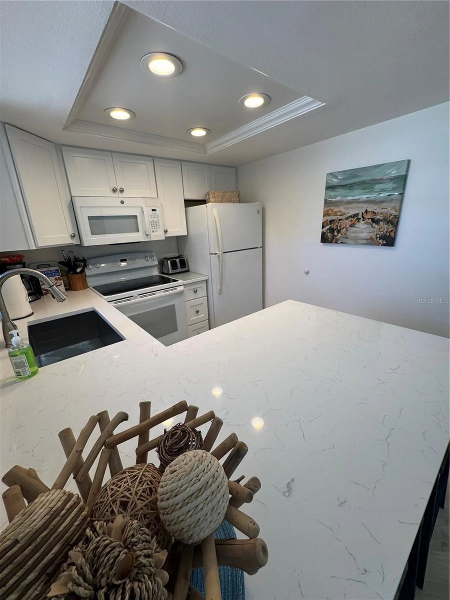 2571 Cyprus Drive Palm Harbor FL 34684
