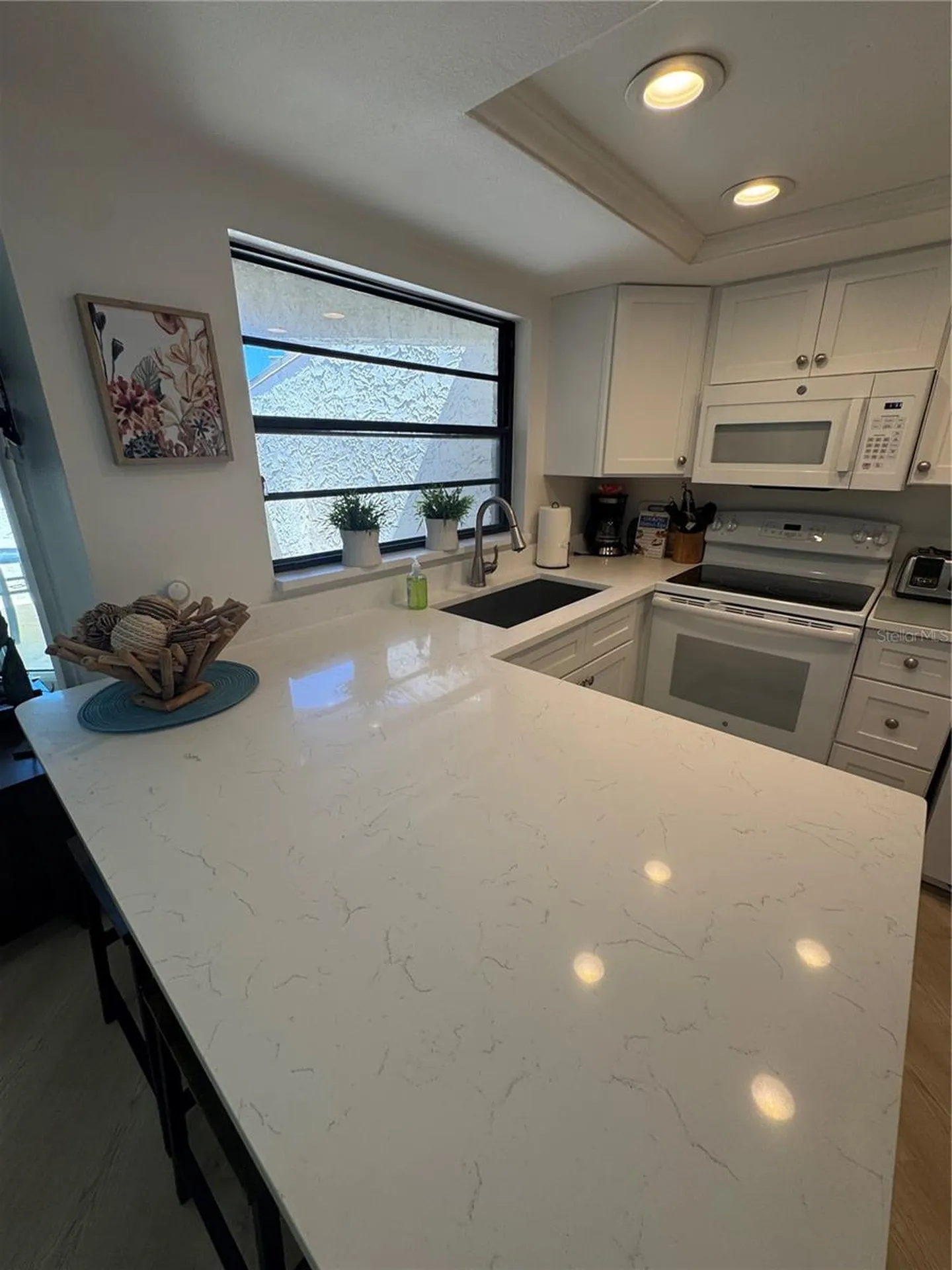 2571 Cyprus Drive Palm Harbor FL 34684