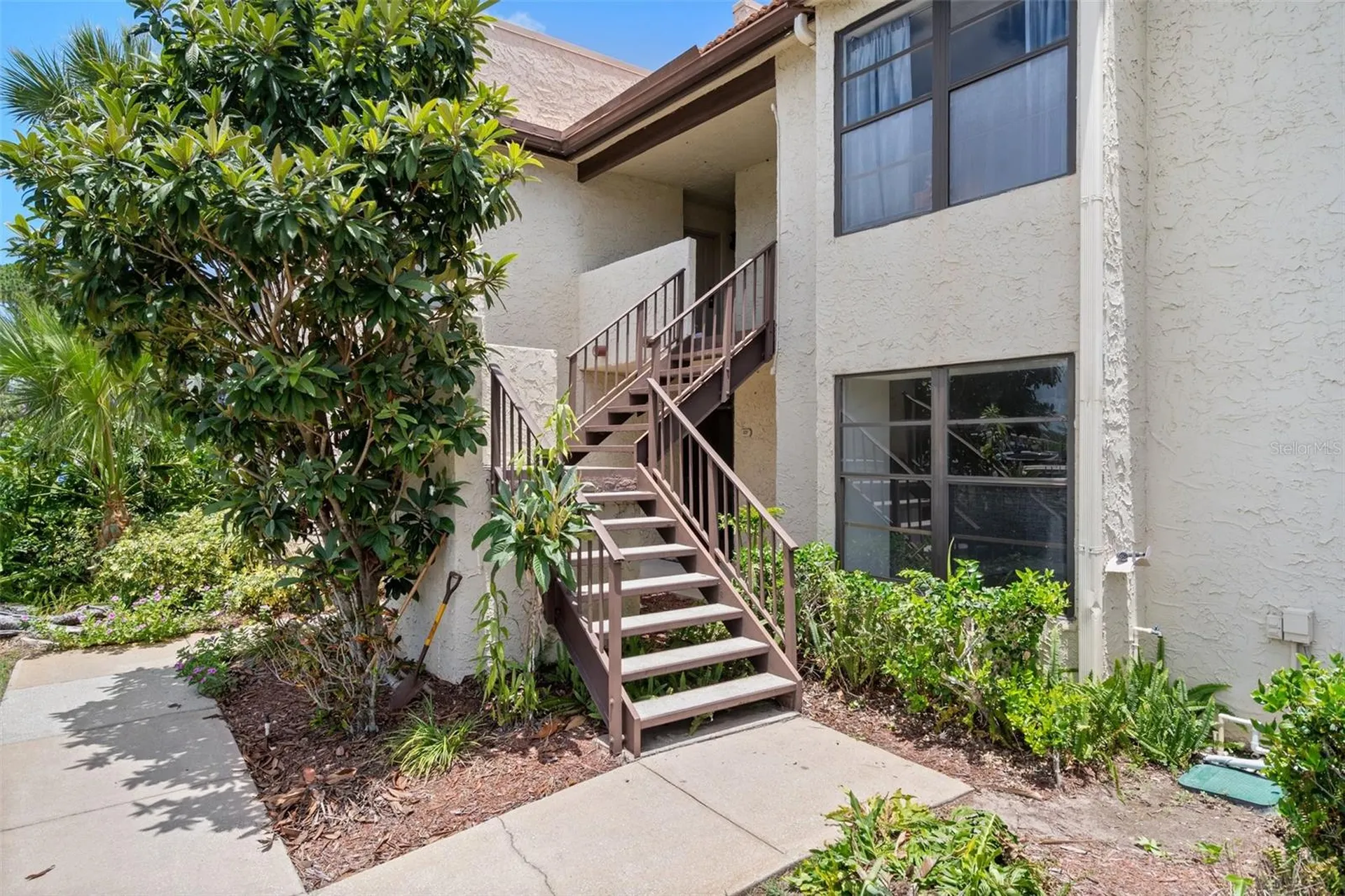 2571 Cyprus Drive Palm Harbor FL 34684