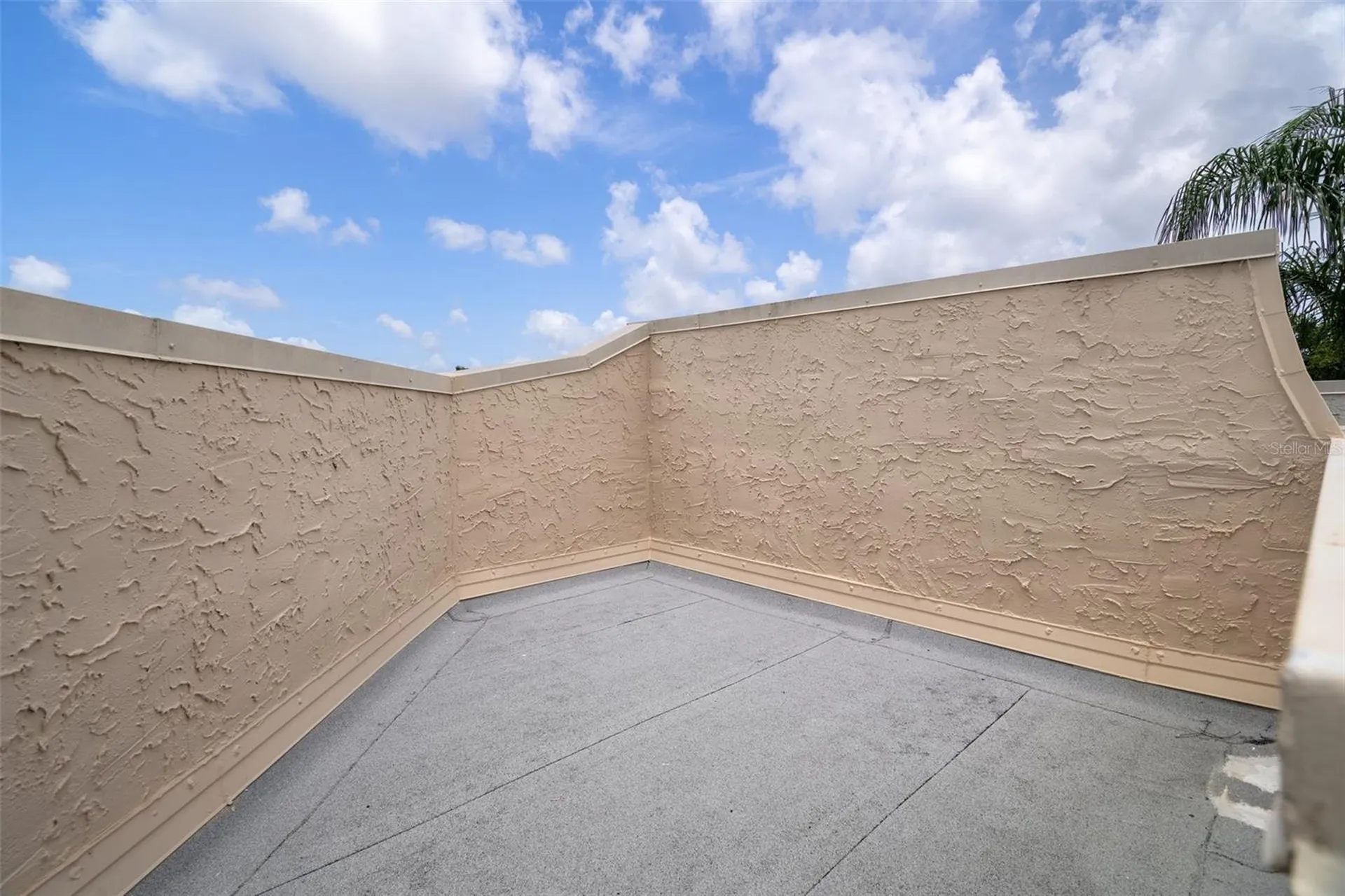 2571 Cyprus Drive Palm Harbor FL 34684
