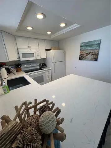 2571 Cyprus Drive Palm Harbor FL 34684