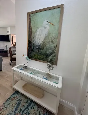 2571 Cyprus Drive Palm Harbor FL 34684