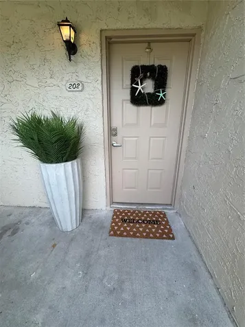 2571 Cyprus Drive Palm Harbor FL 34684