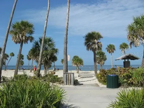 2571 Cyprus Drive Palm Harbor FL 34684