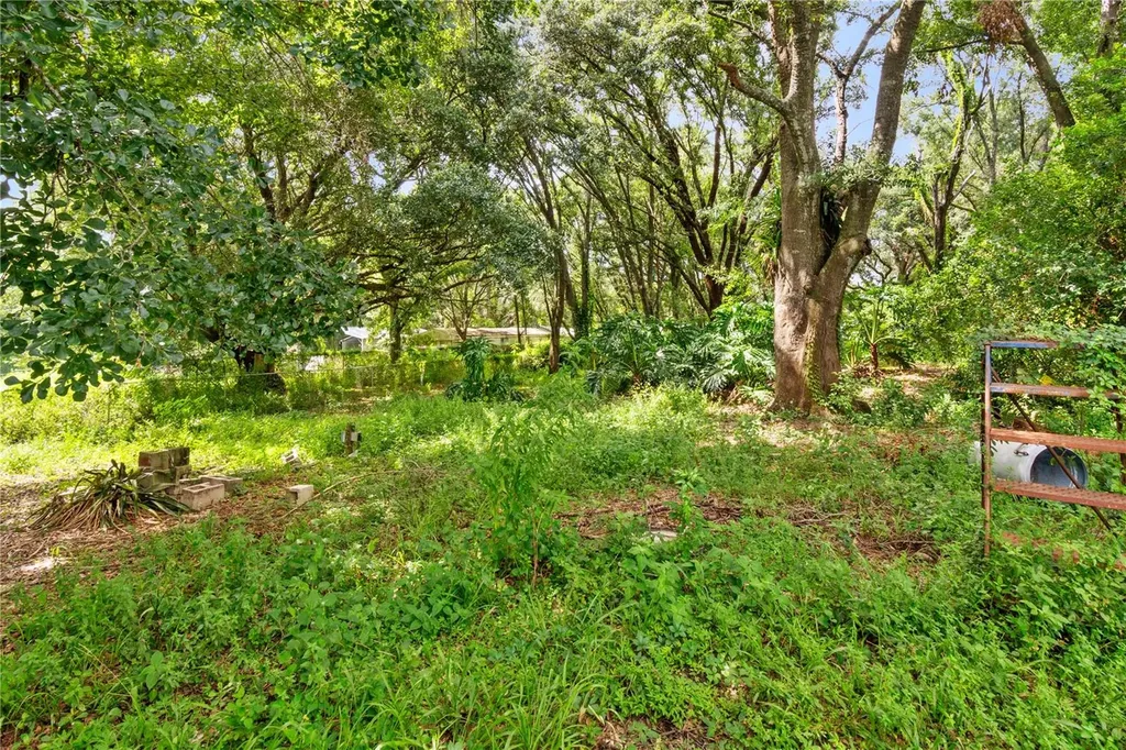 3703 Mount Tabor Road Lakeland FL 33810