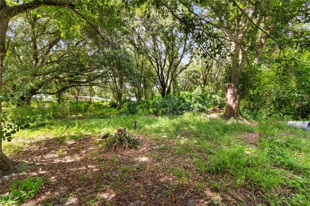 3703 Mount Tabor Road Lakeland FL 33810
