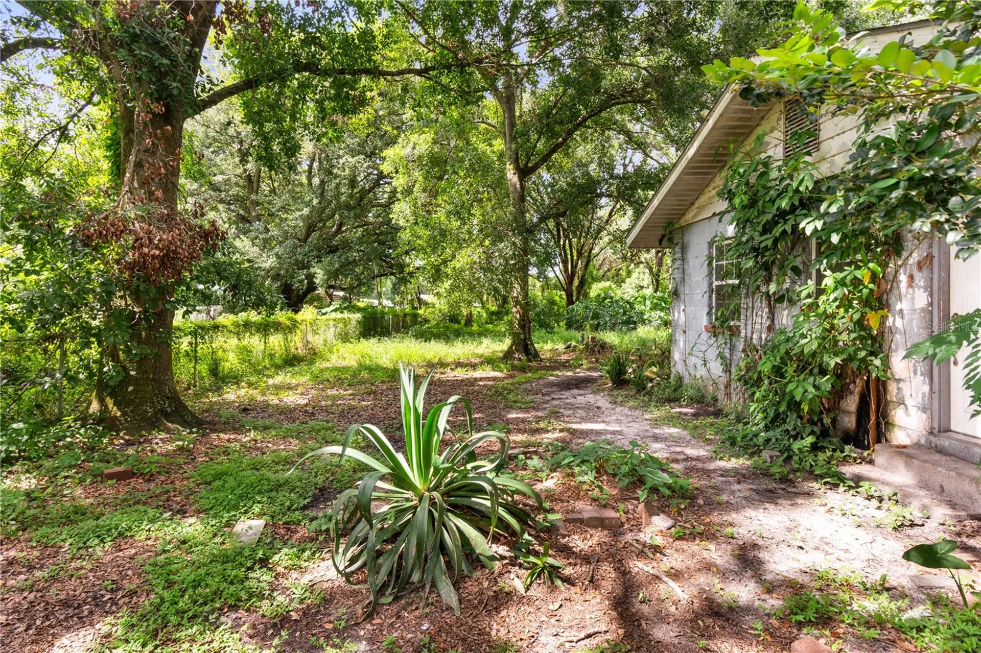 3703 Mount Tabor Road Lakeland FL 33810