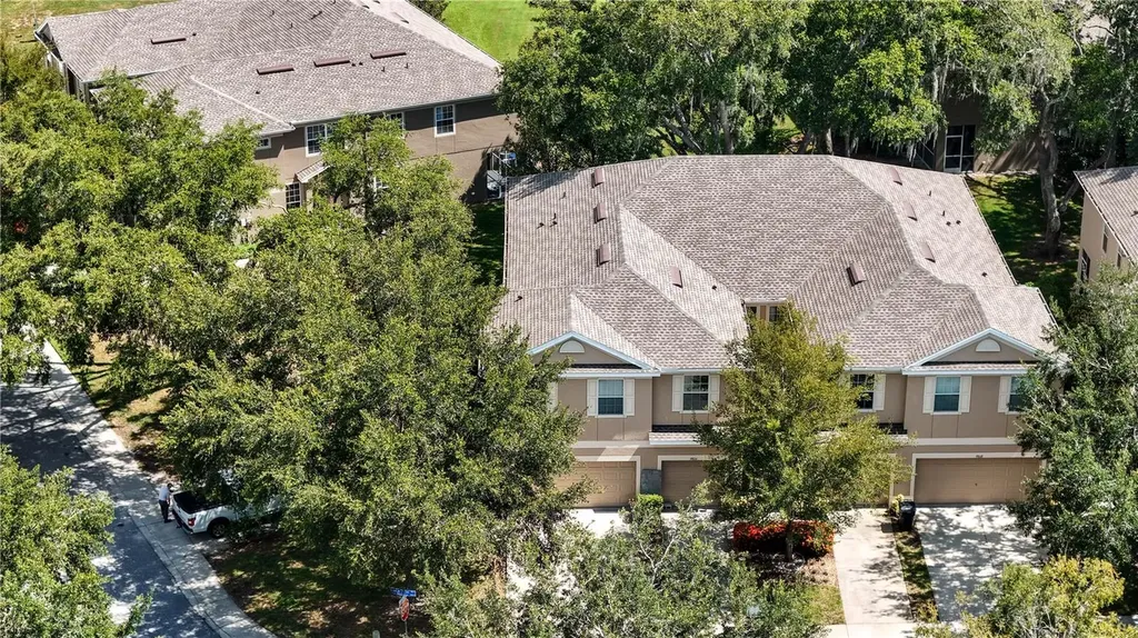 9802 Blue Palm Way Tampa FL 33610