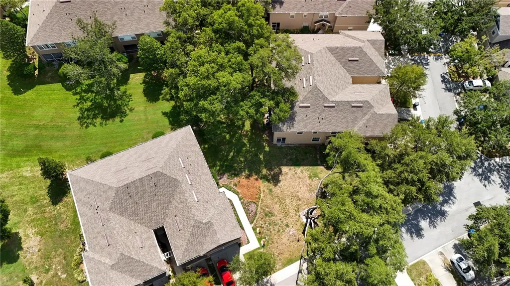 9802 Blue Palm Way Tampa FL 33610