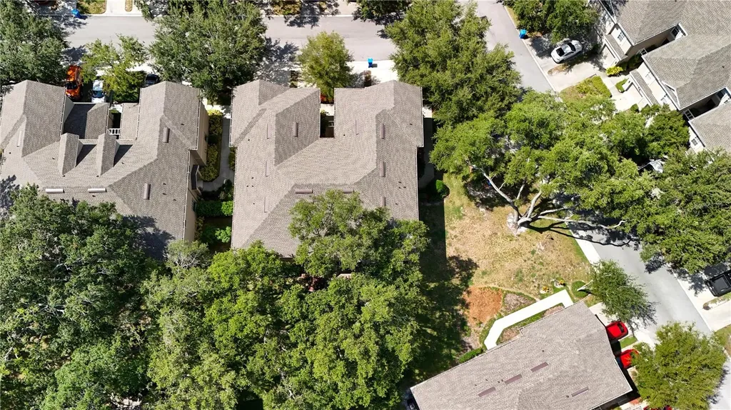 9802 Blue Palm Way Tampa FL 33610