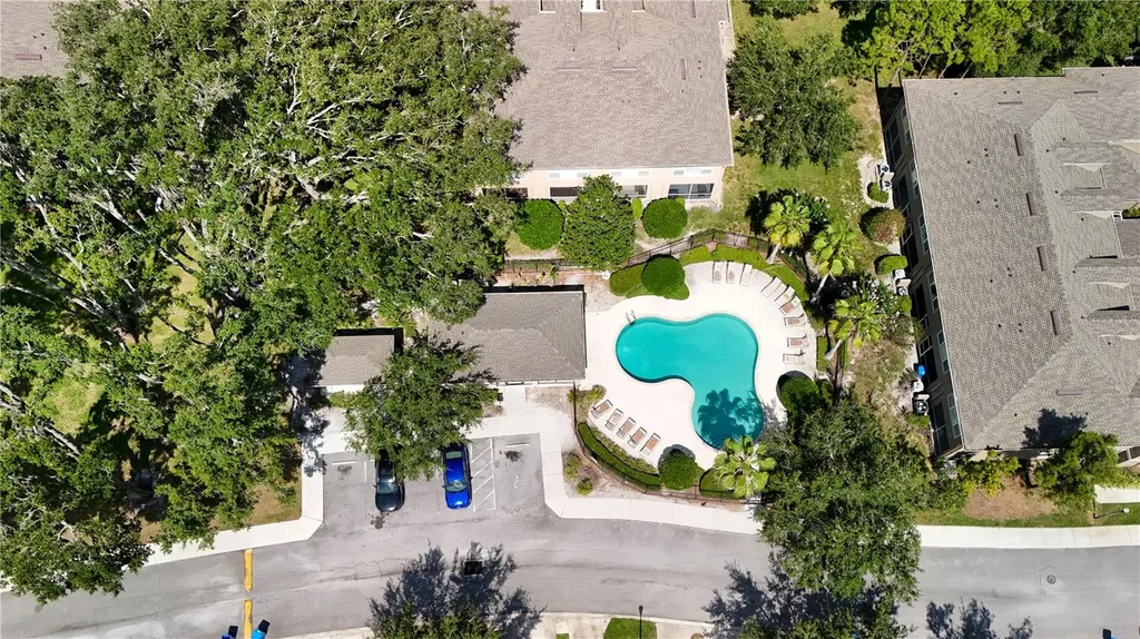 9802 Blue Palm Way Tampa FL 33610