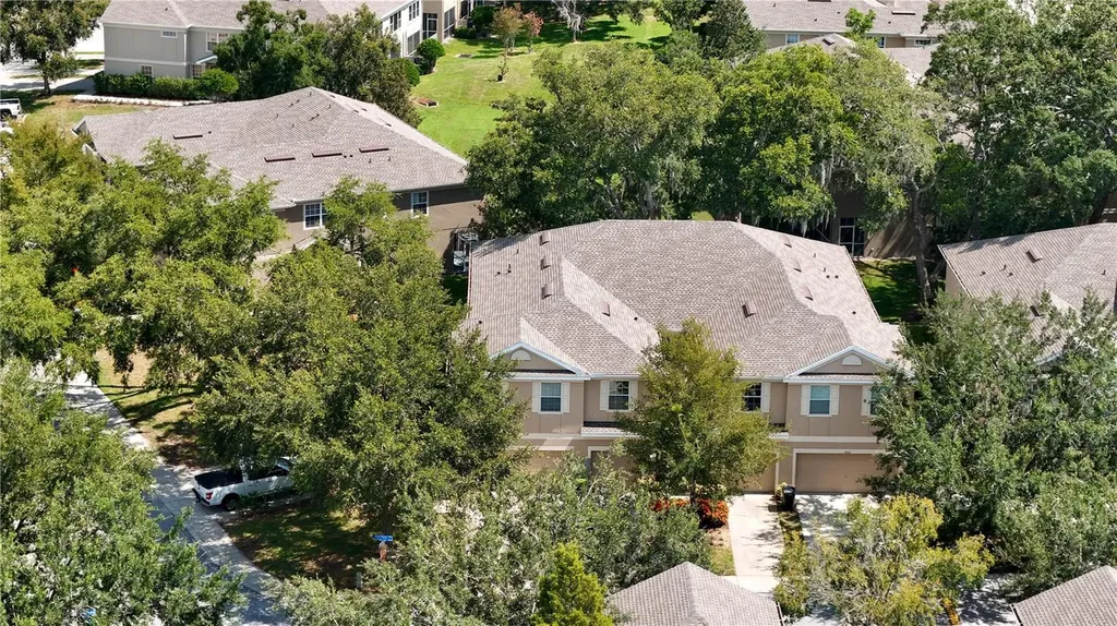 9802 Blue Palm Way Tampa FL 33610