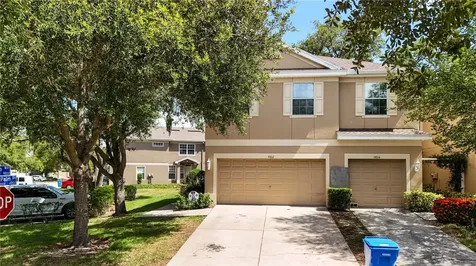 9802 Blue Palm Way Tampa FL 33610