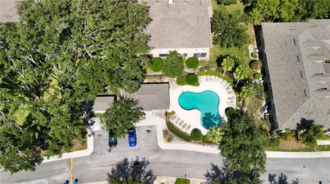 9802 Blue Palm Way Tampa FL 33610