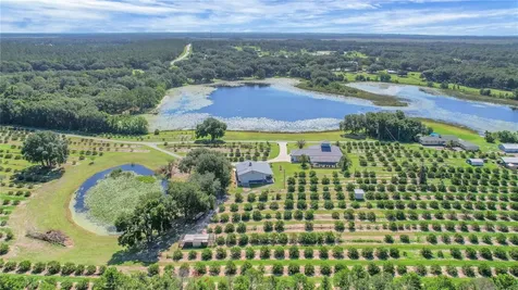 16982 SE Highway 42 Weirsdale FL 32195