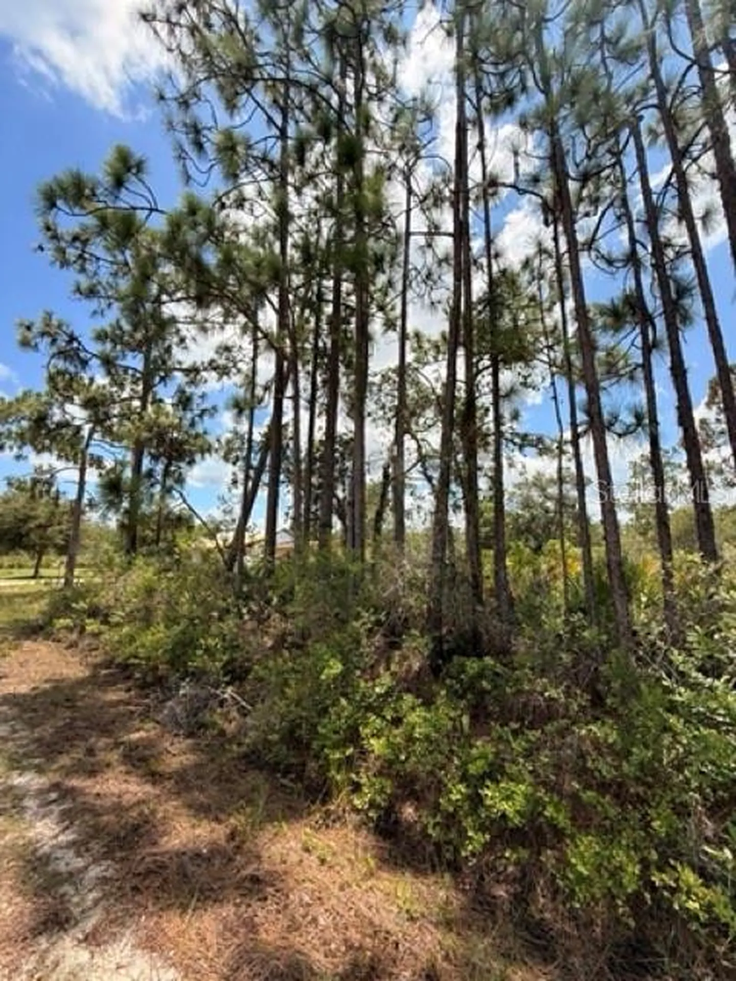 113 Bougainville Drive Indian Lake Estates FL 33855