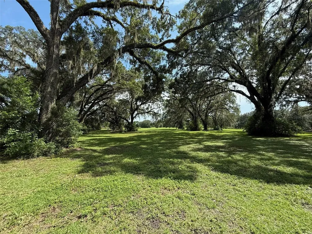 16419 SW 15th Avenue Newberry FL 32669