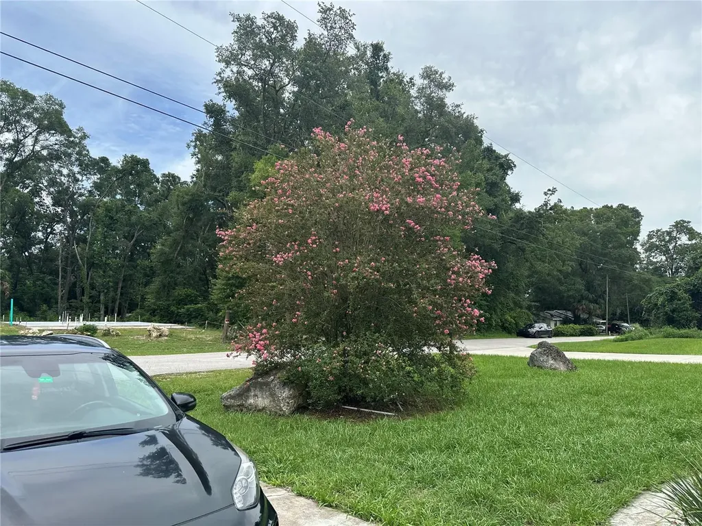 13678 SE 55th Avenue Summerfield FL 34491