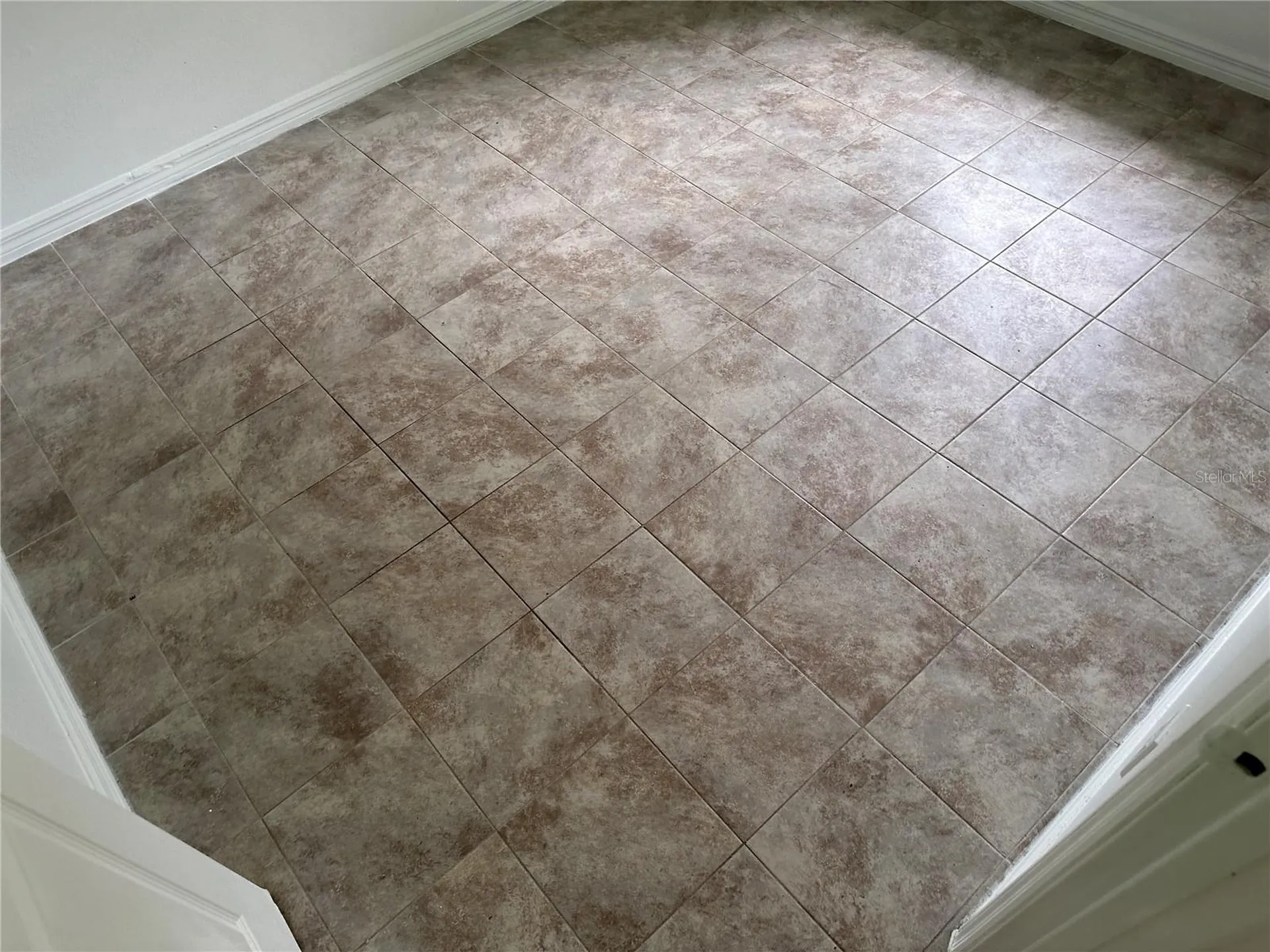 13678 SE 55th Avenue Summerfield FL 34491