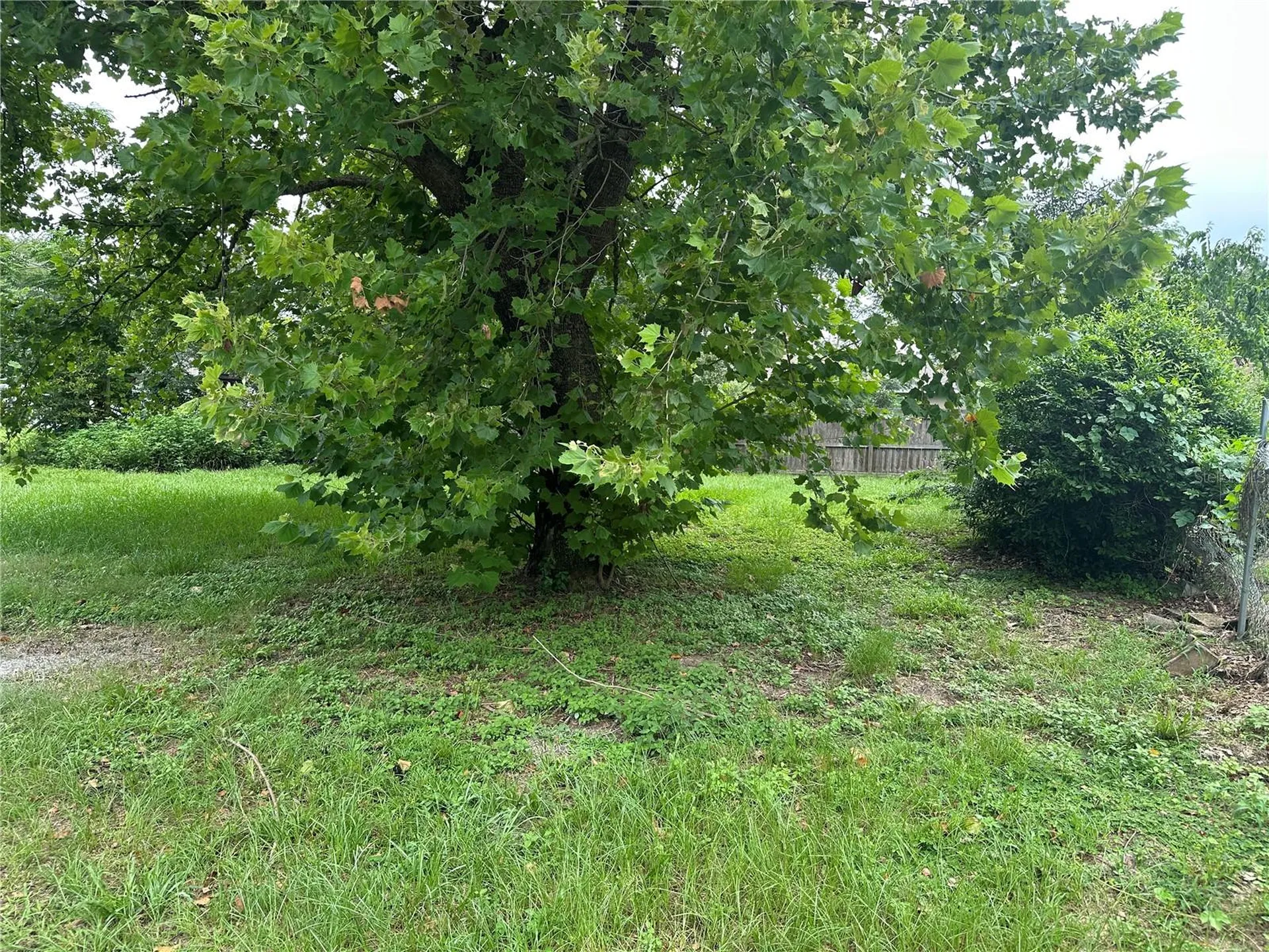 13678 SE 55th Avenue Summerfield FL 34491