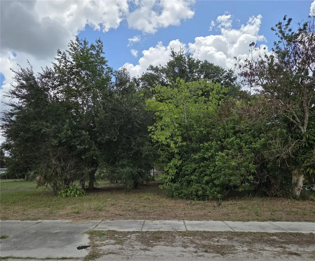 505 S Lanier Avenue Fort Meade FL 33841