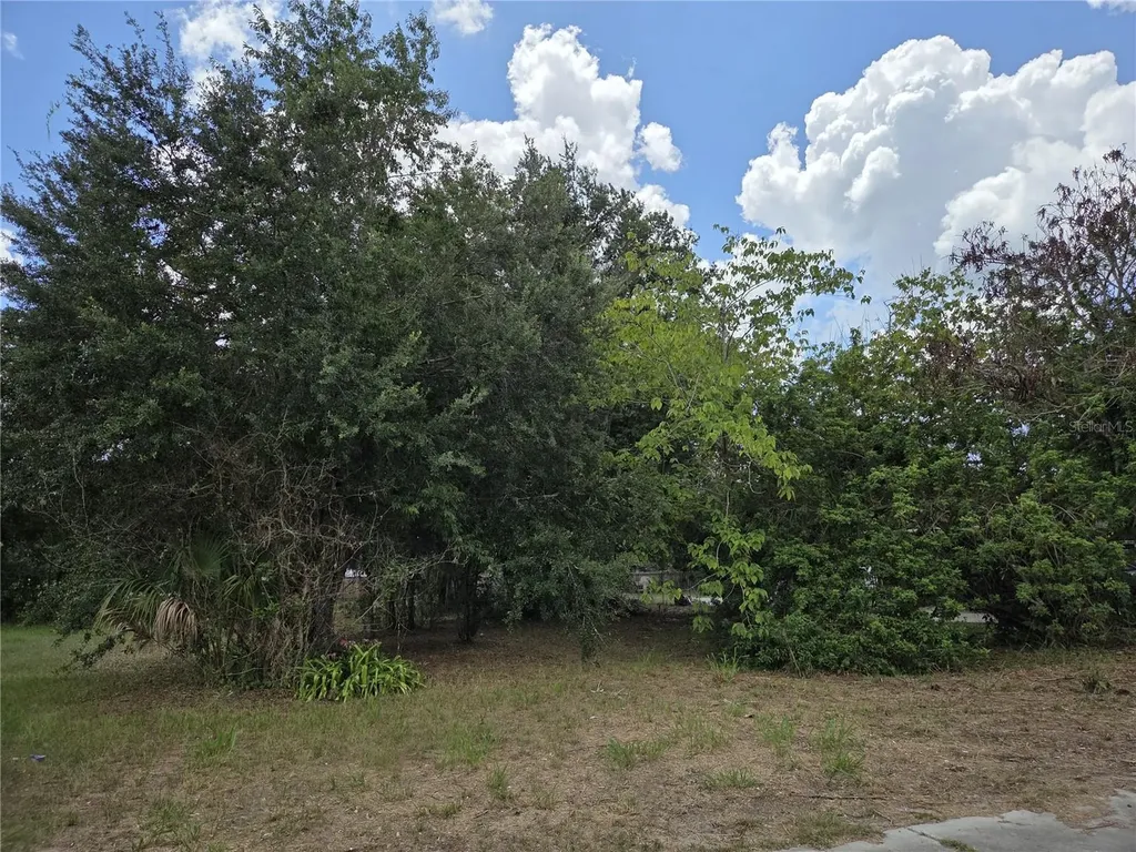 505 S Lanier Avenue Fort Meade FL 33841