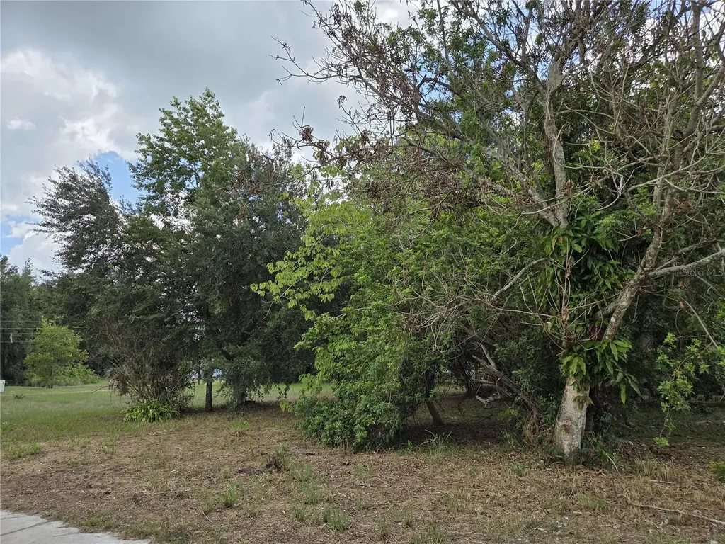 505 S Lanier Avenue Fort Meade FL 33841
