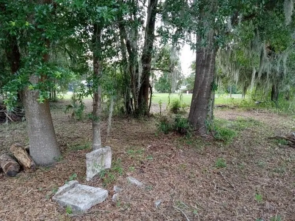 505 S Lanier Avenue Fort Meade FL 33841