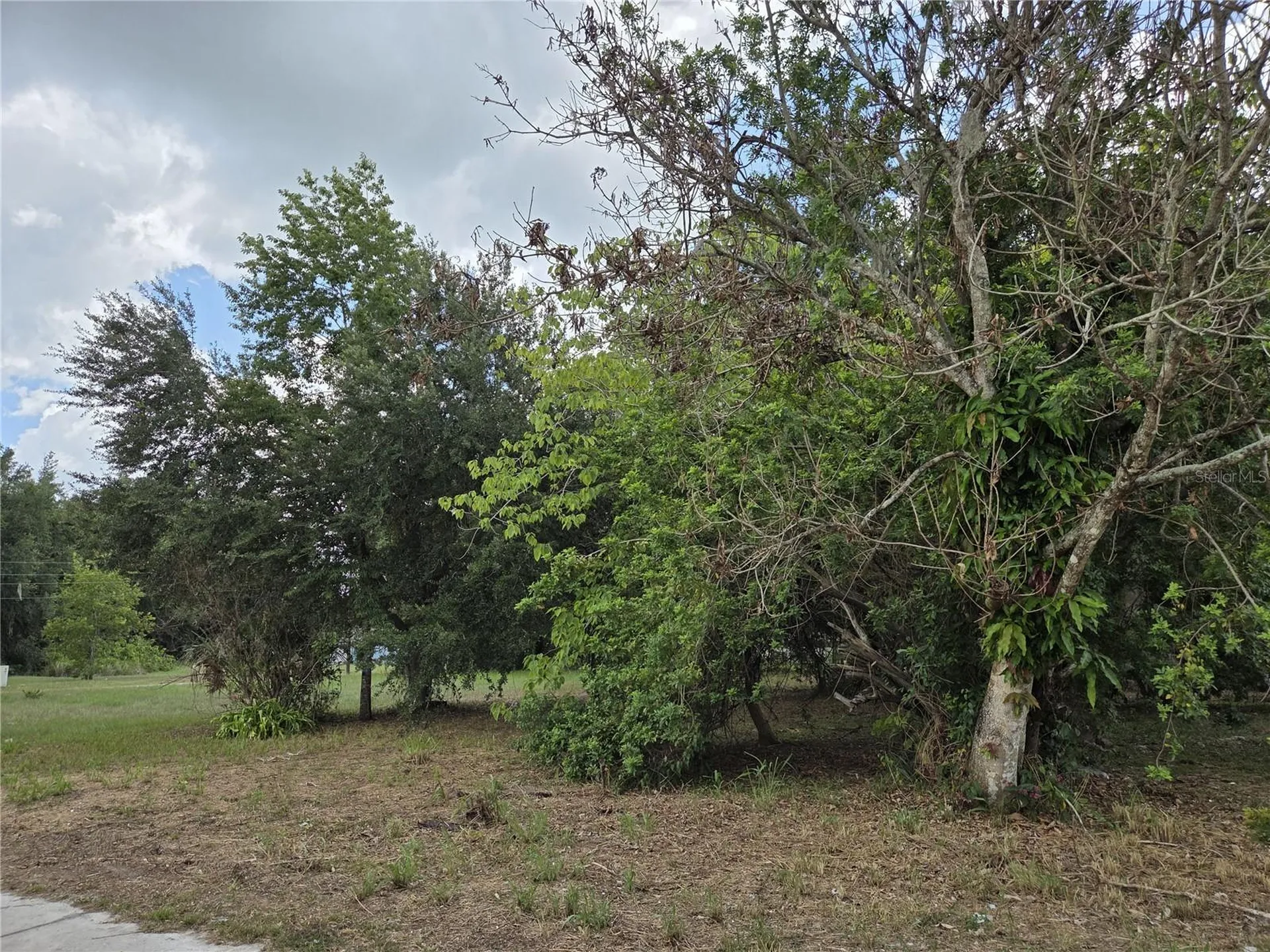 505 S Lanier Avenue Fort Meade FL 33841