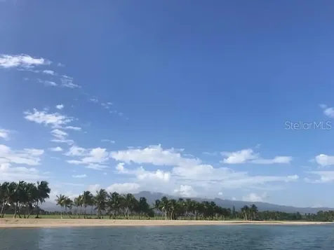 955 C1 East Rio Grande PR 00745