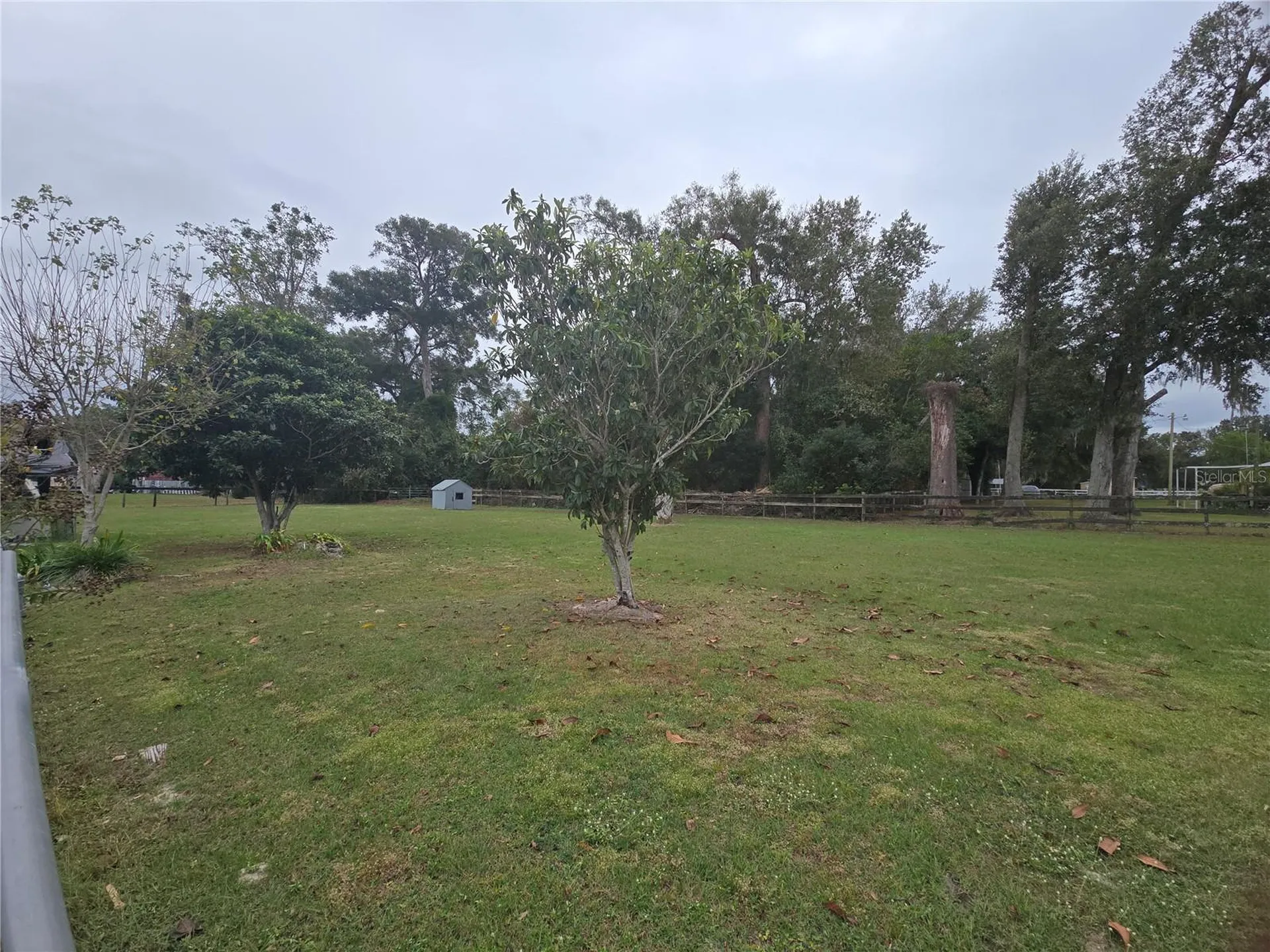 16948 SE 19th Court Summerfield FL 34491