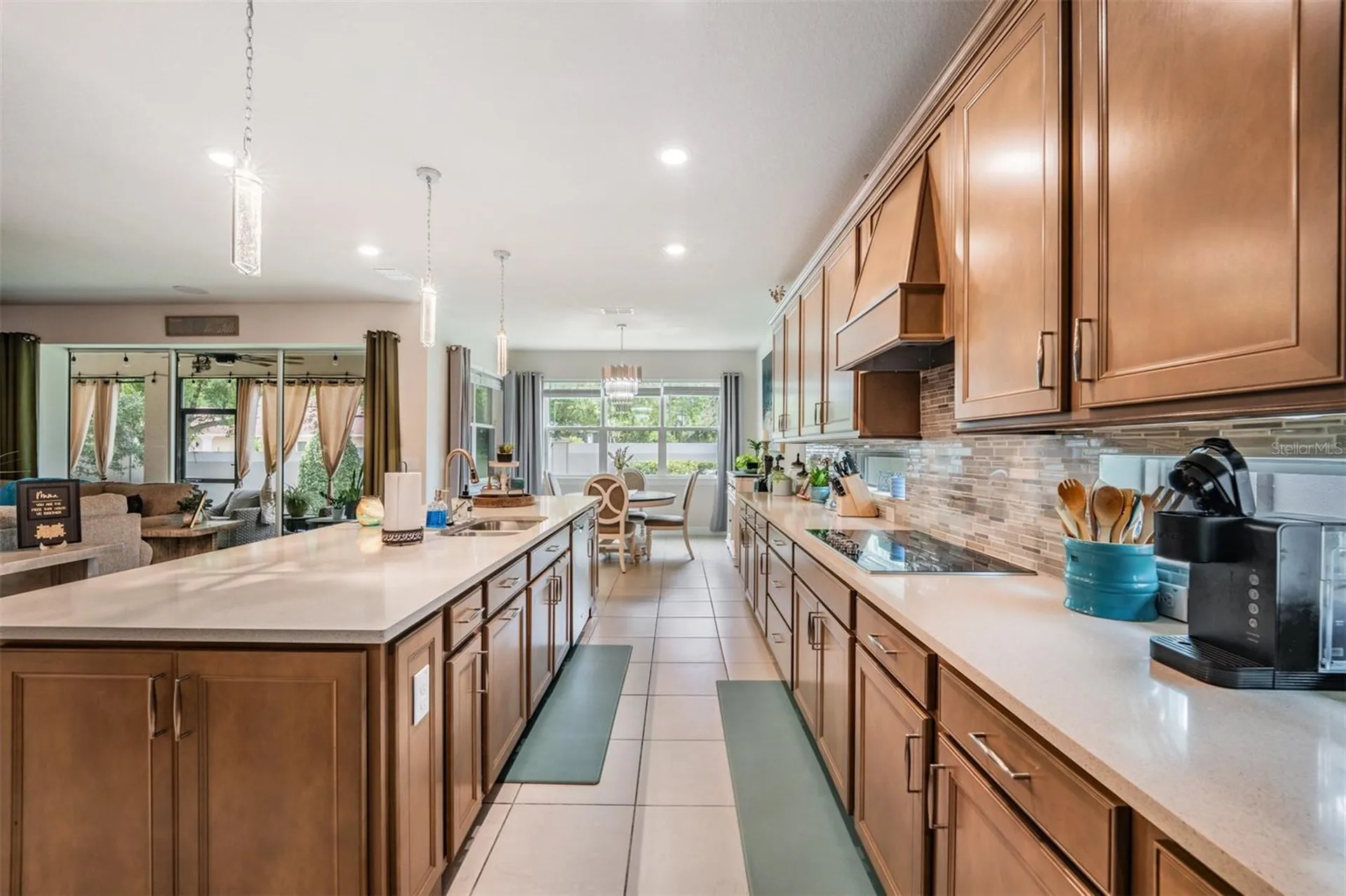 2836 Buckhorn Forest Drive Valrico FL 33594