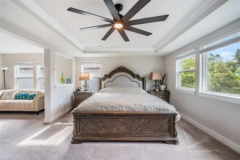 2836 Buckhorn Forest Drive Valrico FL 33594