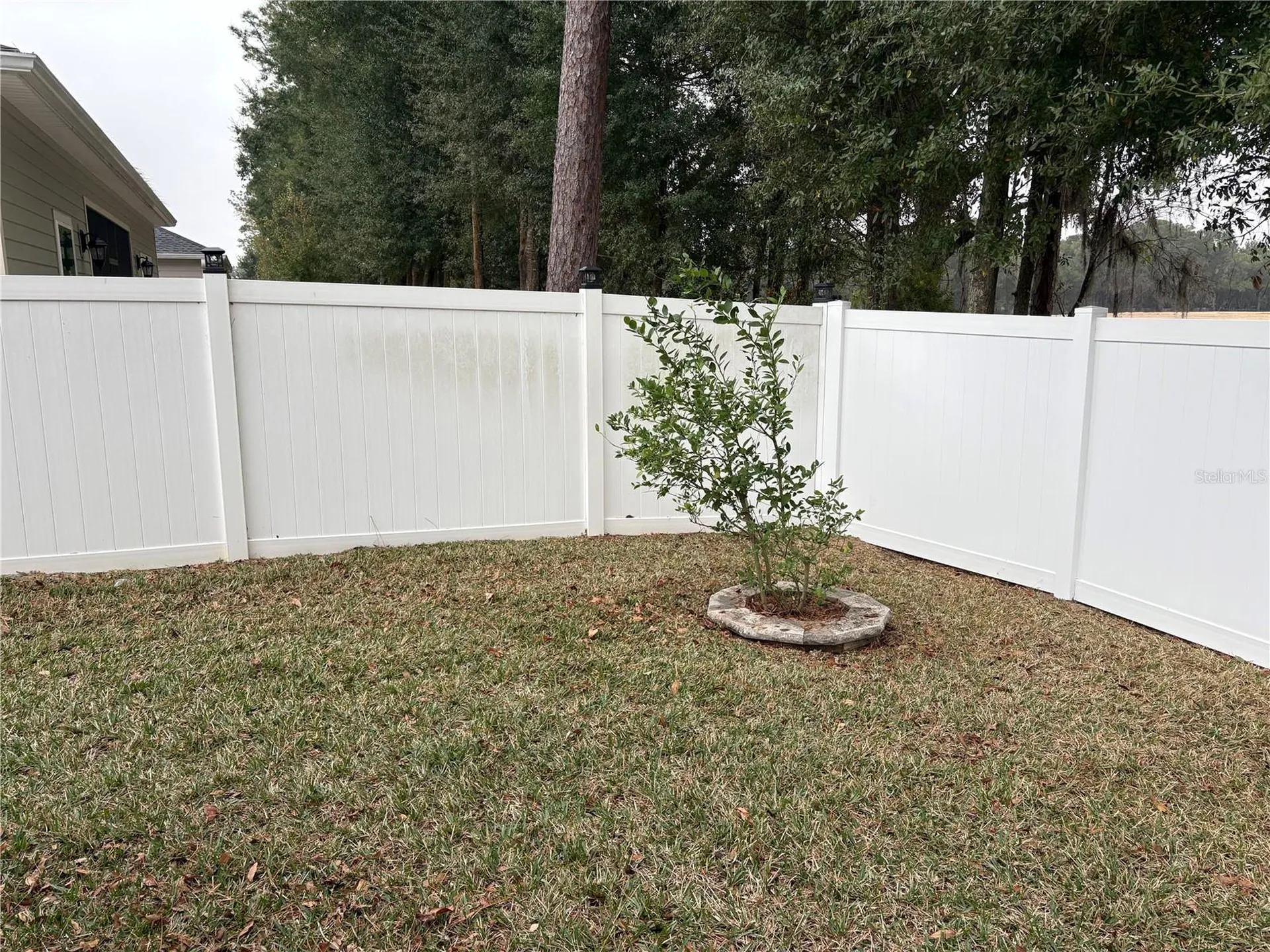 7867 SW 74th Loop Ocala FL 34481