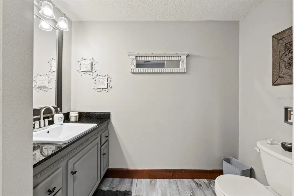 32137 Wolf Branch Lane Sorrento FL 32776