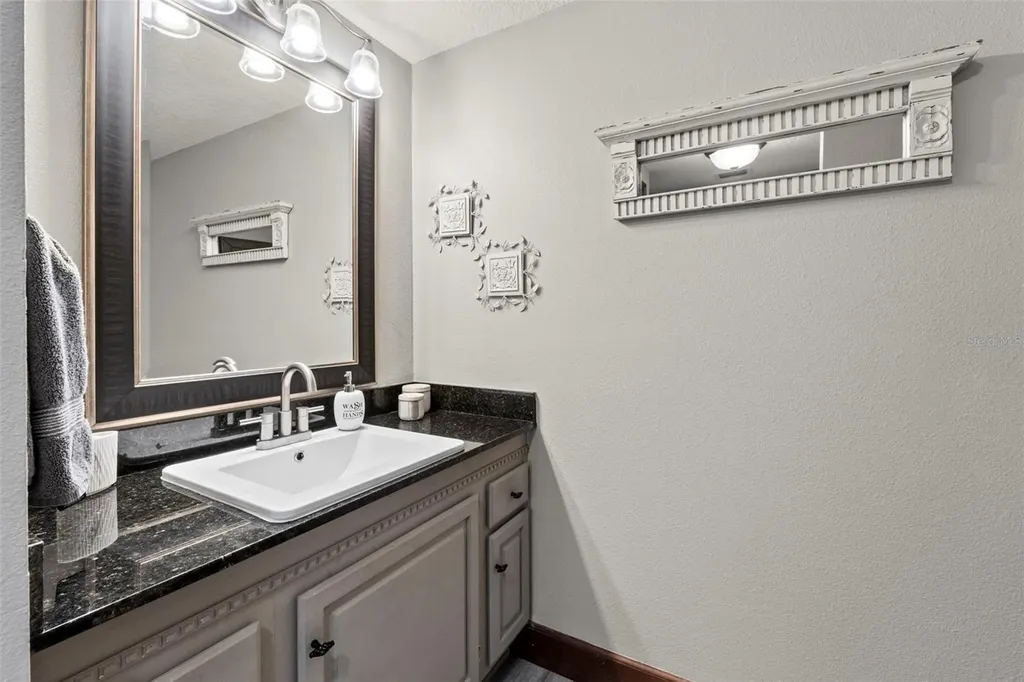 32137 Wolf Branch Lane Sorrento FL 32776