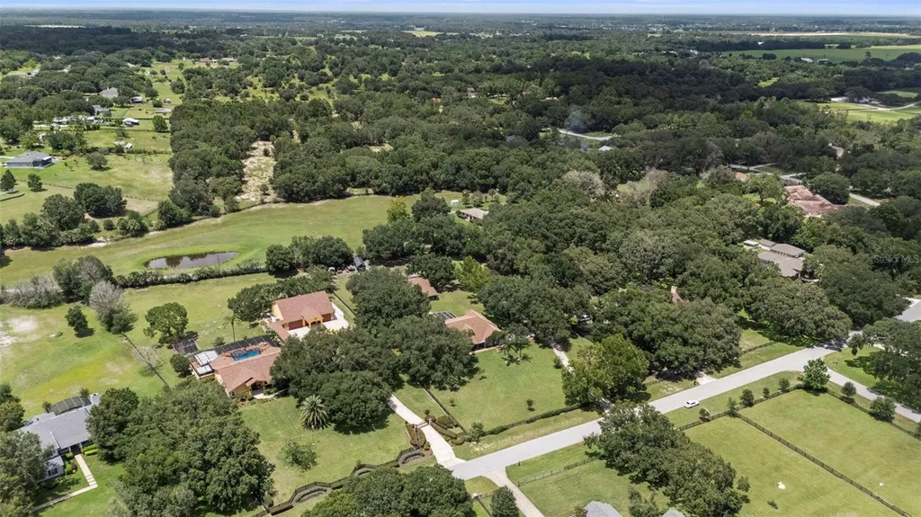 32137 Wolf Branch Lane Sorrento FL 32776