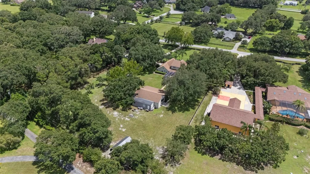 32137 Wolf Branch Lane Sorrento FL 32776