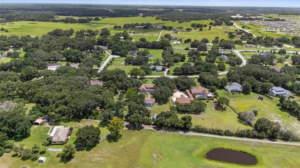 32137 Wolf Branch Lane Sorrento FL 32776