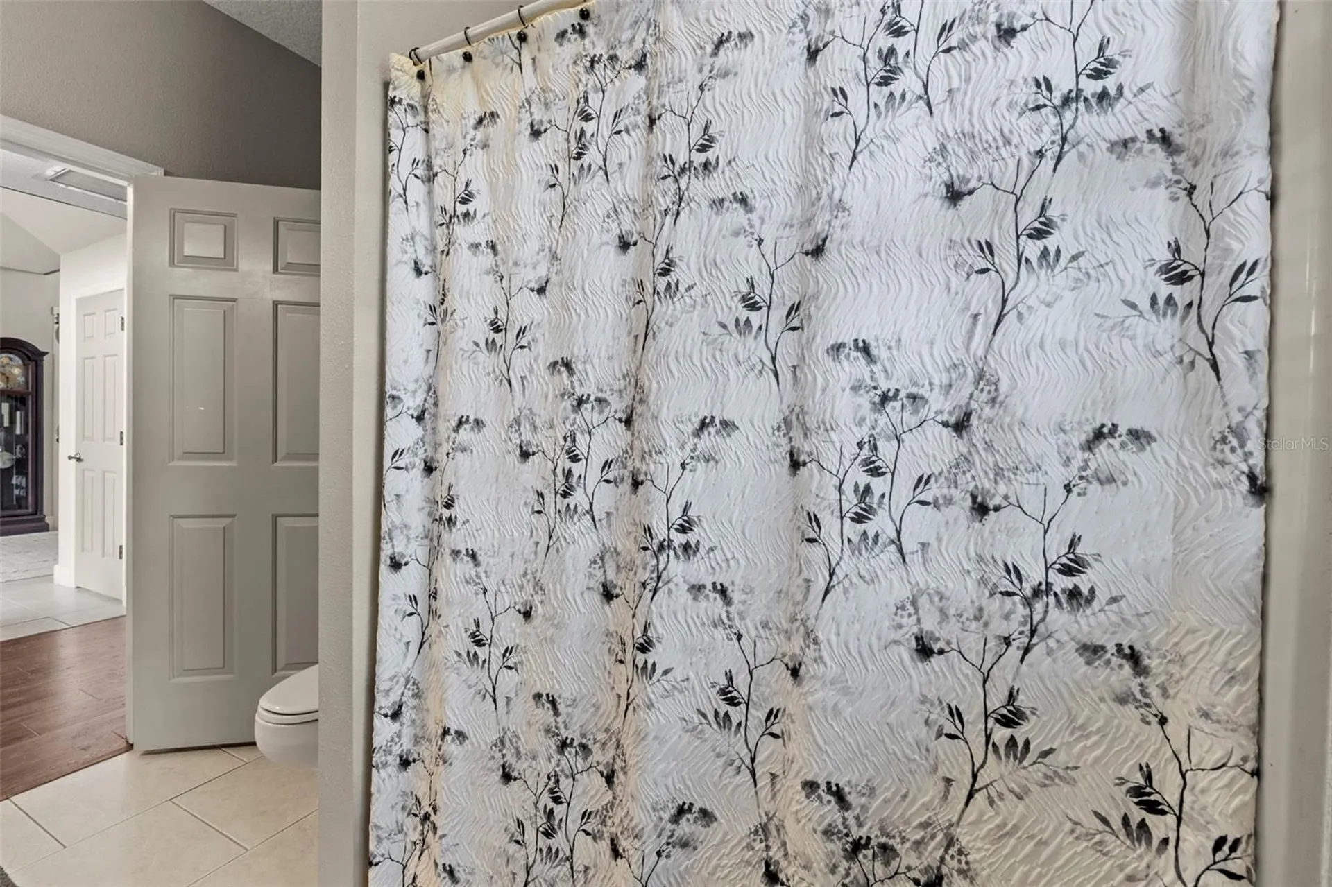 32137 Wolf Branch Lane Sorrento FL 32776